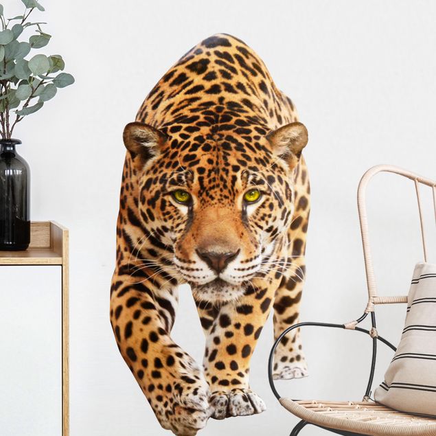 Wallstickers Afrika Creeping Jaguar