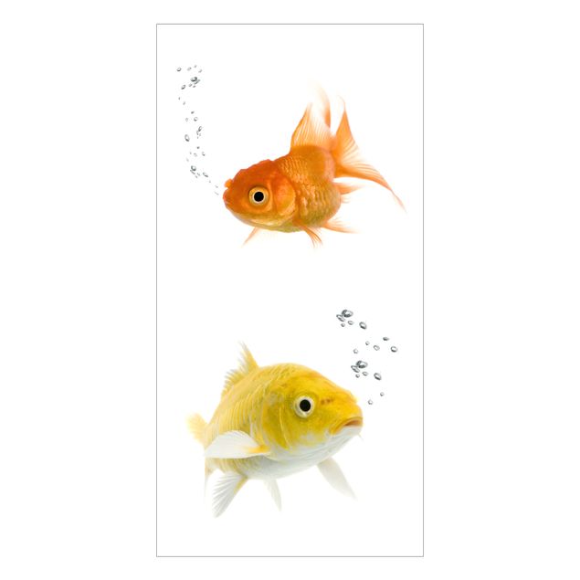 Vinduesklistermærker dyr Colourful Fishes Duo
