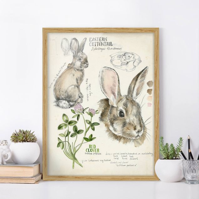 køkken dekorationer Wilderness Journal - Rabbit