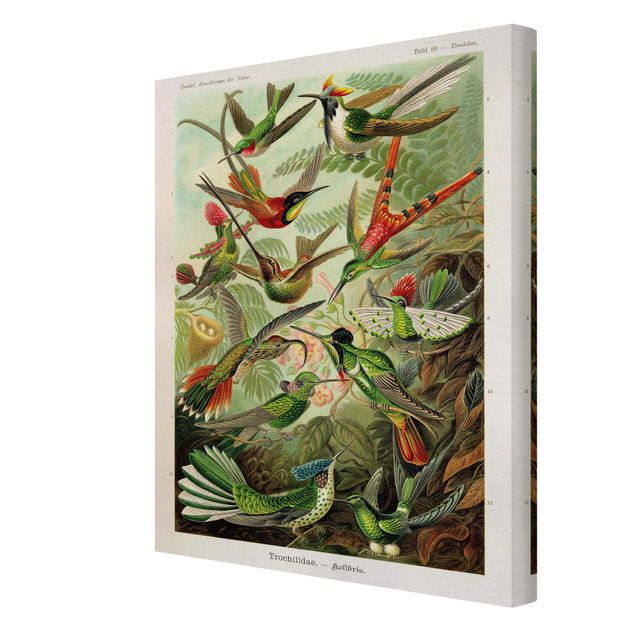 Billeder farvet Vintage Board Hummingbirds