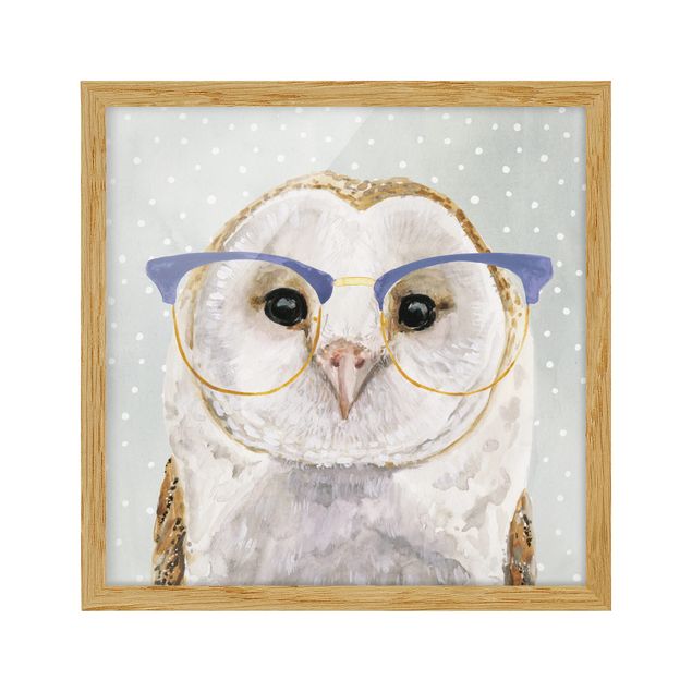 Billeder dyr Animals With Glasses - Owl