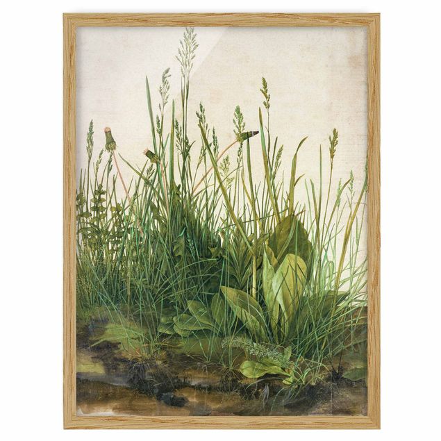 Billeder blomster Albrecht Dürer - The Great Lawn