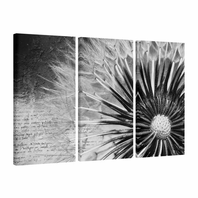 Billeder på lærred blomster Dandelion Black & White