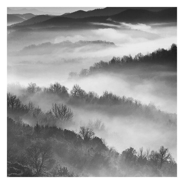 Fototapet landskaber Fog At Sunset Black And White