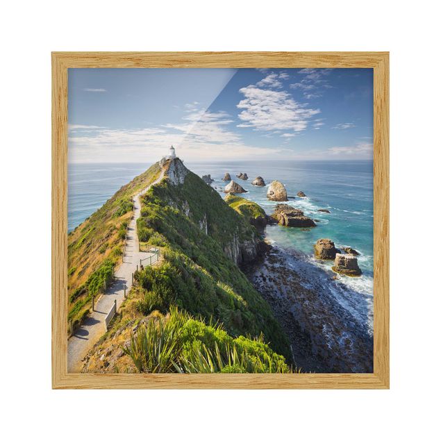 Billeder landskaber Nugget Point Lighthouse And Sea New Zealand