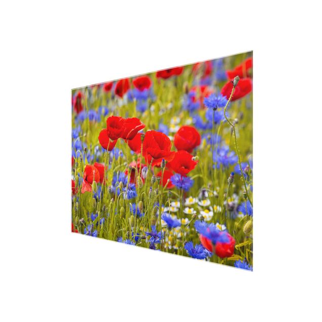 Billeder blomster Summer Meadow With Poppies And Cornflowers
