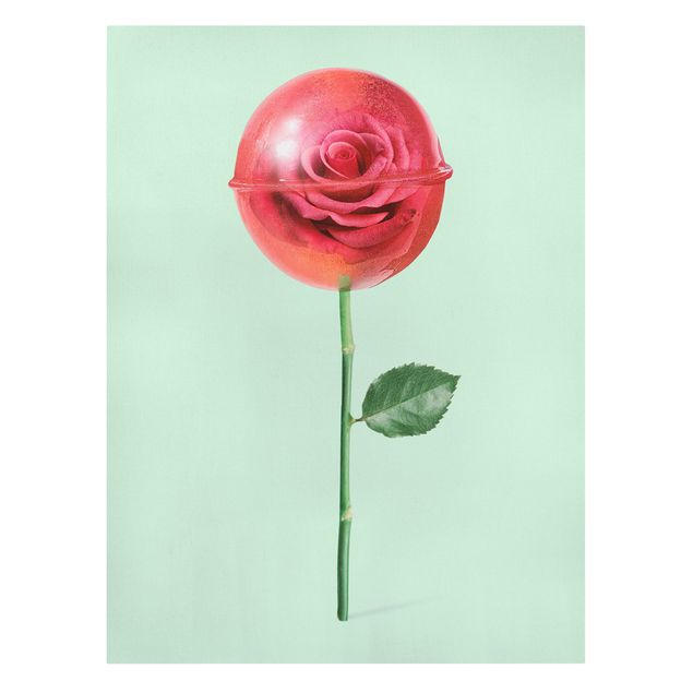 Billeder blomster Rose With Lollipop