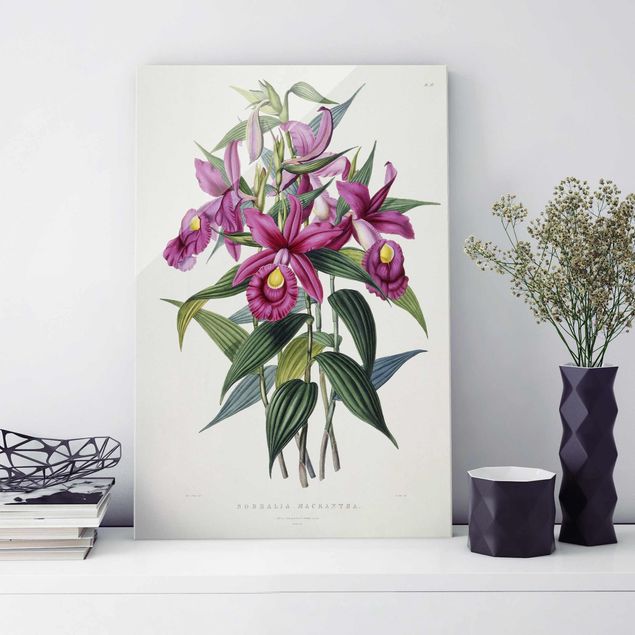 Glasbilleder orkideer Maxim Gauci - Orchid I