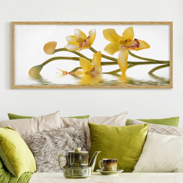 Billeder orkideer Saffron Orchid Waters