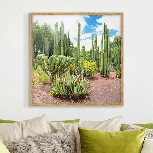 Billeder landskaber Cactus Landscape
