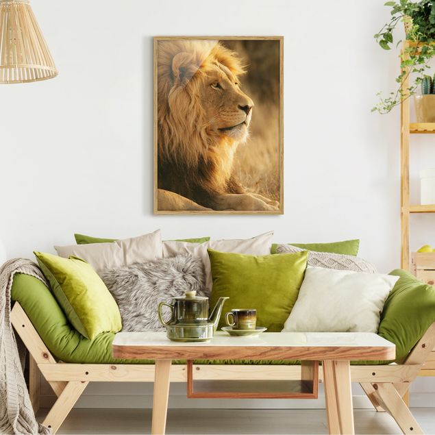 Indrammede plakater dyr King Lion
