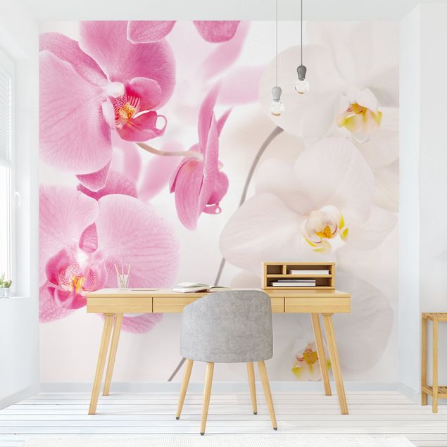 Tapet moderne Delicate Orchids