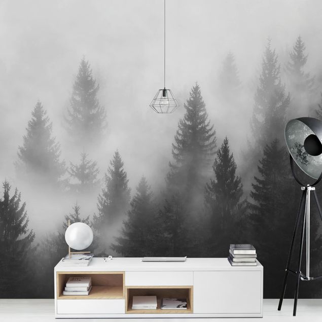 Fototapet skove Coniferous Forest In The Fog Black And White