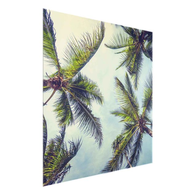Glasbilleder blomster The Palm Trees
