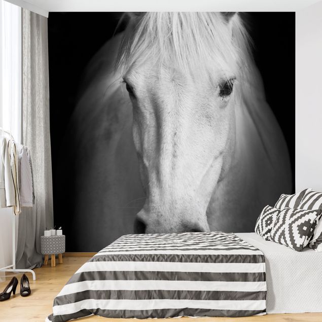 Moderne tapet Dream Of A Horse
