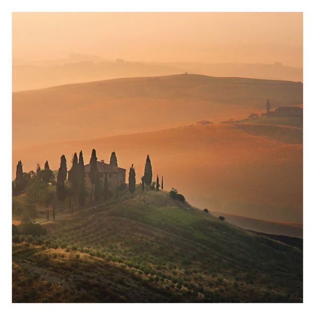 Tapet Dreams Of Tuscany