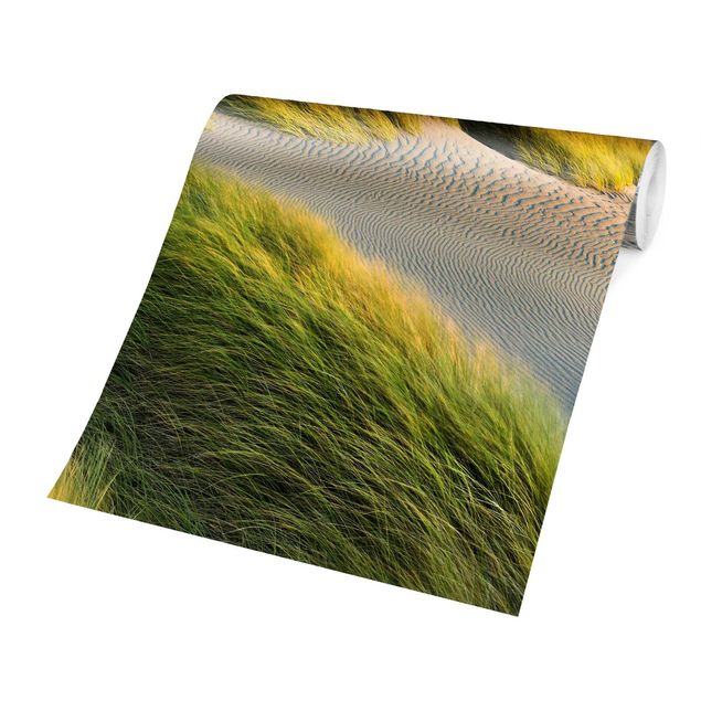Moderne tapet Dunes And Grasses At The Sea