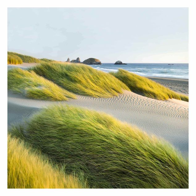 Fototapet landskaber Dunes And Grasses At The Sea