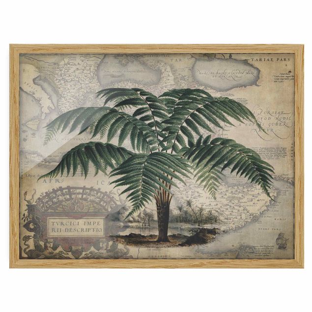Indrammede plakater verdenskort Vintage Collage - Palm And World Map