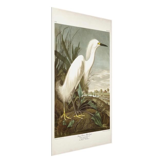 Billeder strande Vintage Board White Heron I