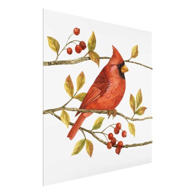 Billeder retro Birds And Berries - Northern Cardinal