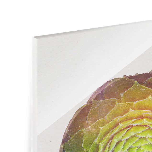 Glas magnettavla WaterColours - Mandala Succulent