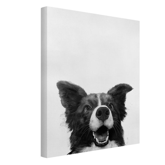 Billeder hunde Illustration Dog Border Collie Black And White Painting