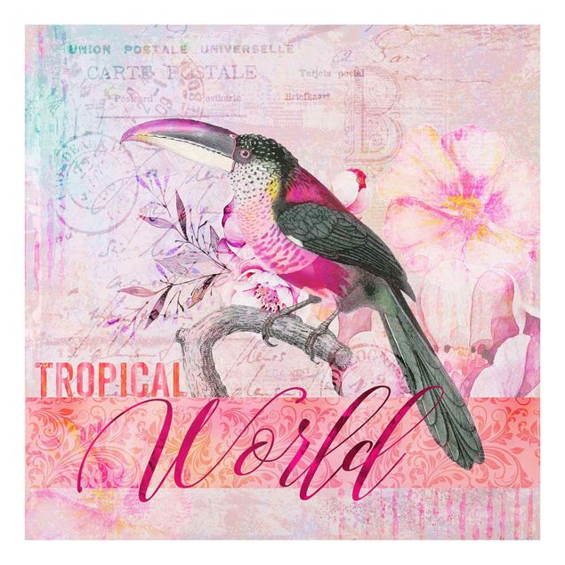 Billeder Andrea Haase Vintage Collage - Tropical World Tucan