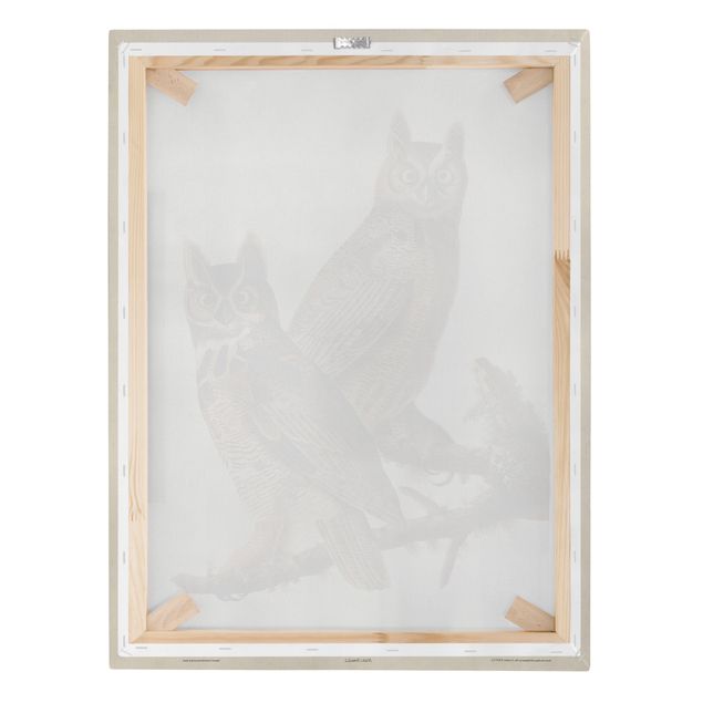 Billeder Vintage Board Two Large Owls