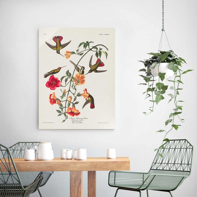 Glasbilleder blomster Vintage Board Mango Hummingbirds