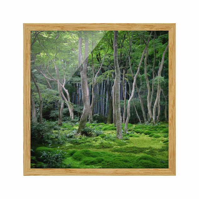Indrammede plakater landskaber Japanese Forest