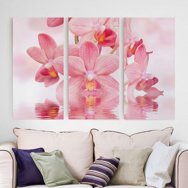 Billeder orkideer Light Pink Orchid On Water