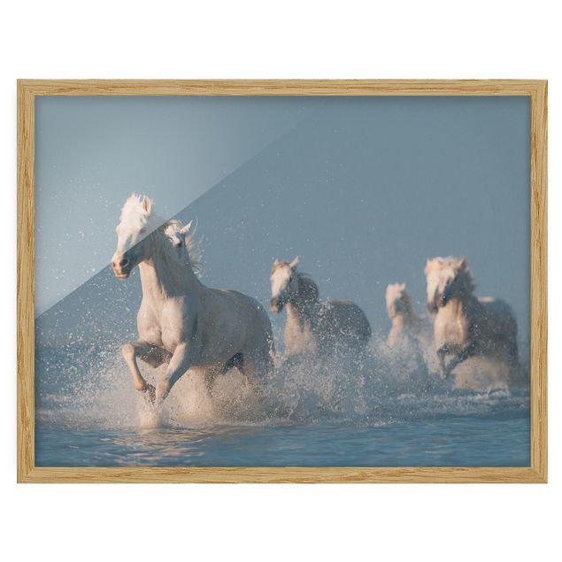 Billeder abstrakt Herd Of White Horses