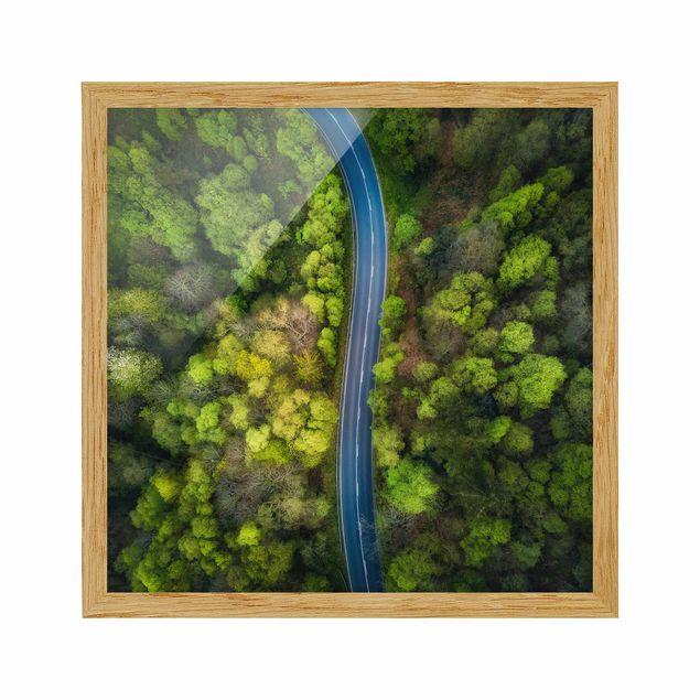 Indrammede plakater landskaber Aerial View - Asphalt Road In The Forest