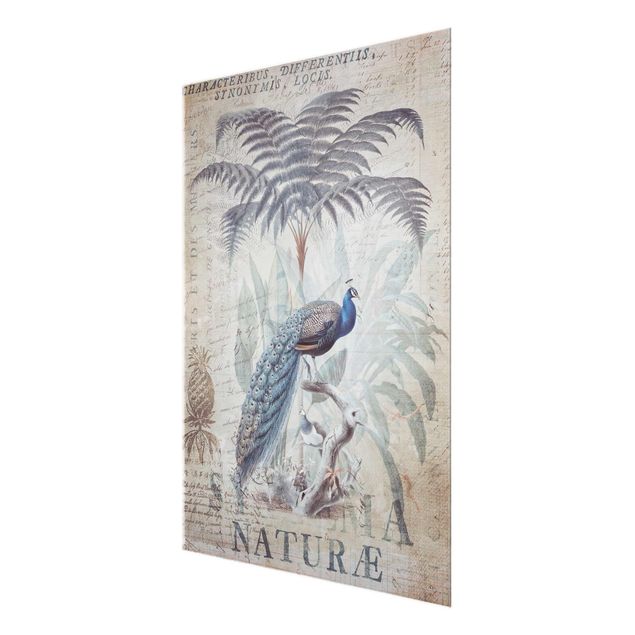 Billeder Andrea Haase Shabby Chic Collage - Peacock