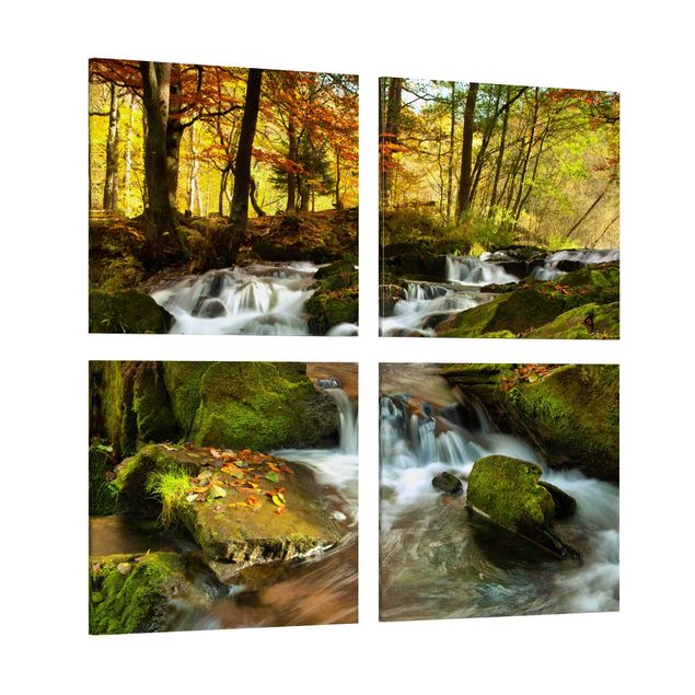 Billeder træer Waterfall Autumnal Forest