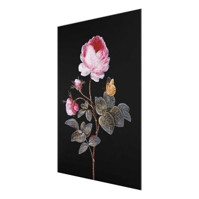 Glasbilleder blomster Barbara Regina Dietzsch - The Hundred-Petalled Rose