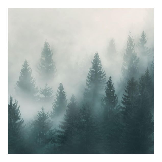 Tapet Coniferous Forest In Fog