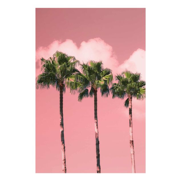 Billeder blomster Palm Trees Against Sky Pink