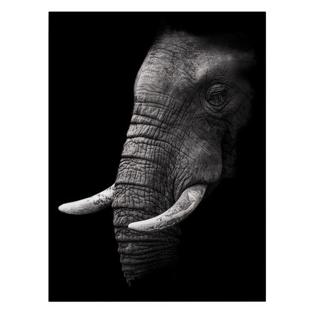 Billeder på lærred sort og hvid Dark Elephant Portrait