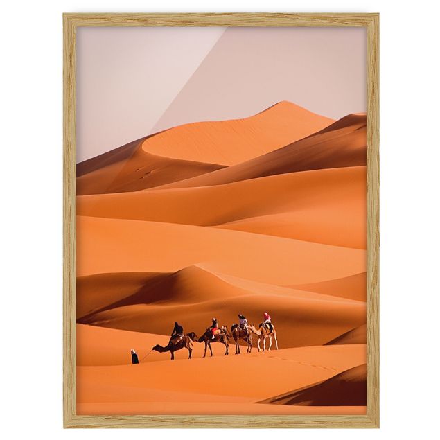 Indrammede plakater dyr Namib Desert