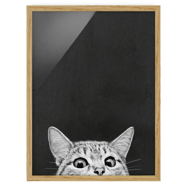 Indrammede plakater sort og hvid Illustration Cat Black And White Drawing