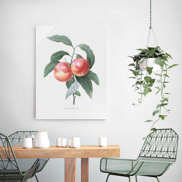 Glasbilleder blomster Botany Vintage Illustration Peach