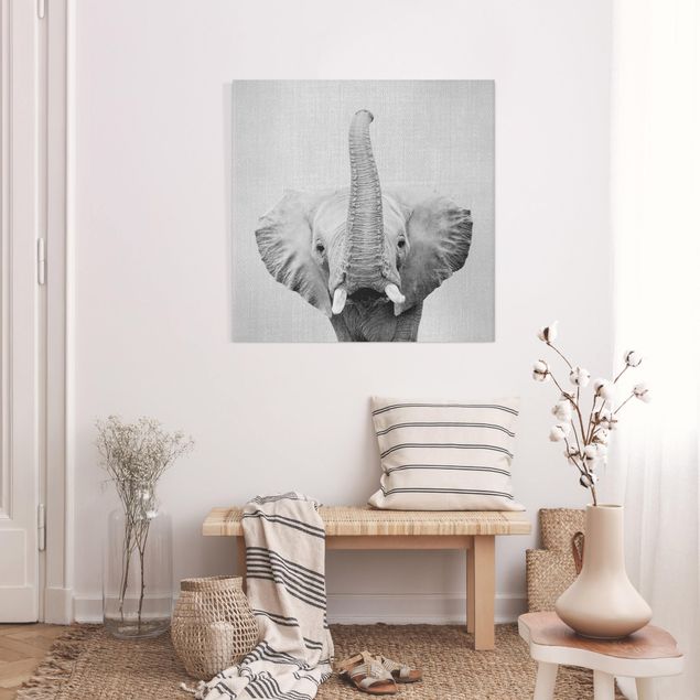 Billeder elefanter Elephant Ewald Black And White