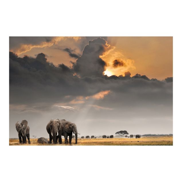 Fototapet landskaber Elephants in the Savannah
