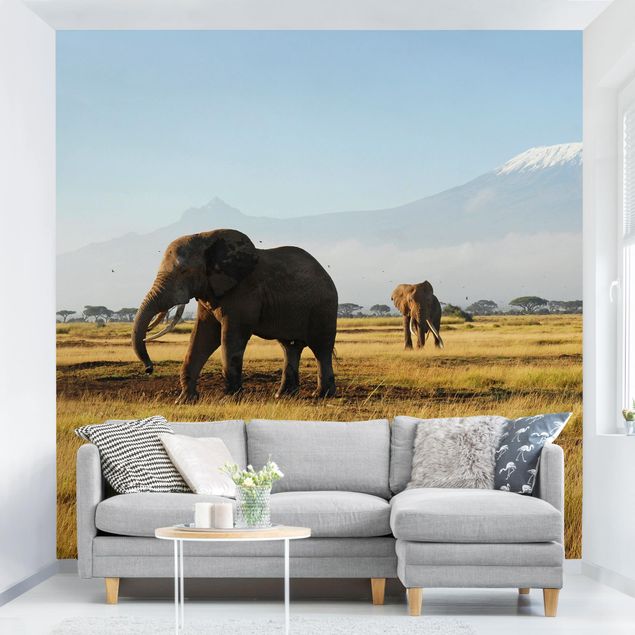 køkken dekorationer Elephants In Front Of The Kilimanjaro In Kenya