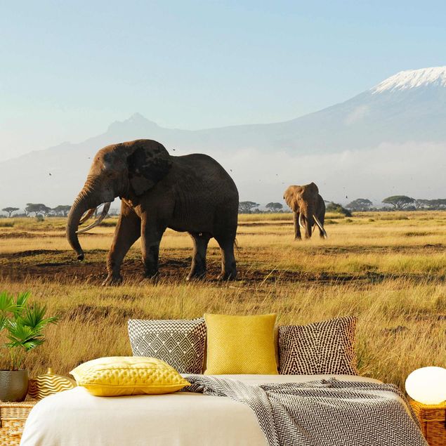Fototapet Afrika Elephants In Front Of The Kilimanjaro In Kenya