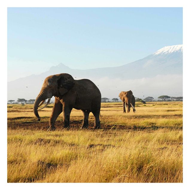 Moderne tapet Elephants In Front Of The Kilimanjaro In Kenya