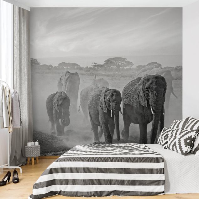 køkken dekorationer Herd Of Elephants