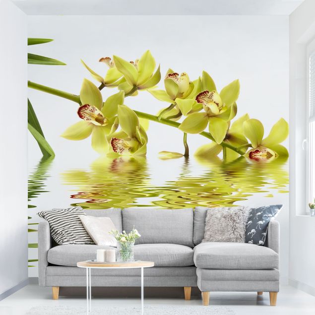 Tapet orkideer Elegant Orchid Waters
